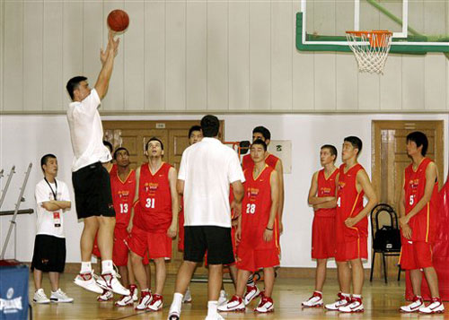 的强力补充 的强力补充