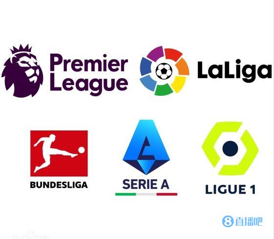 可替代的 可替代的