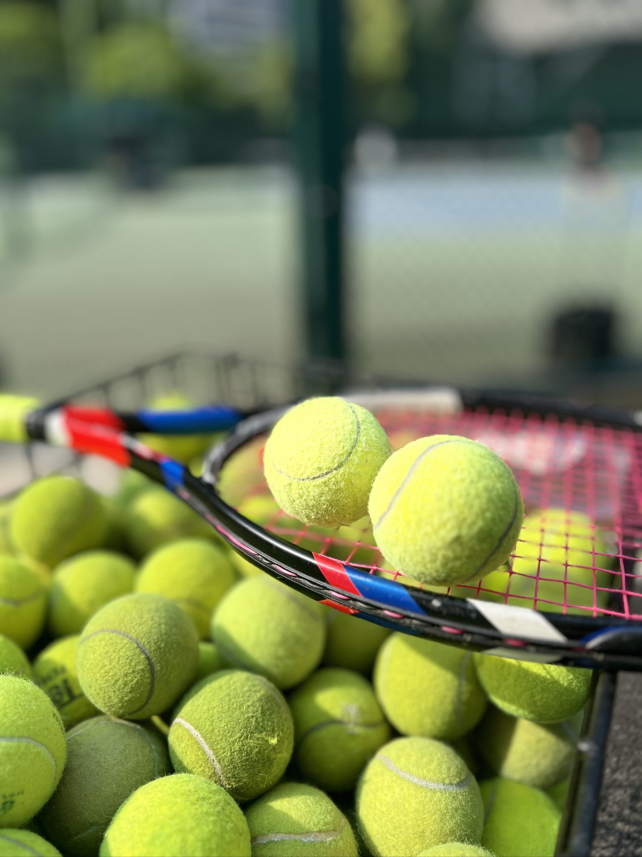 如果你需要 如果你需要