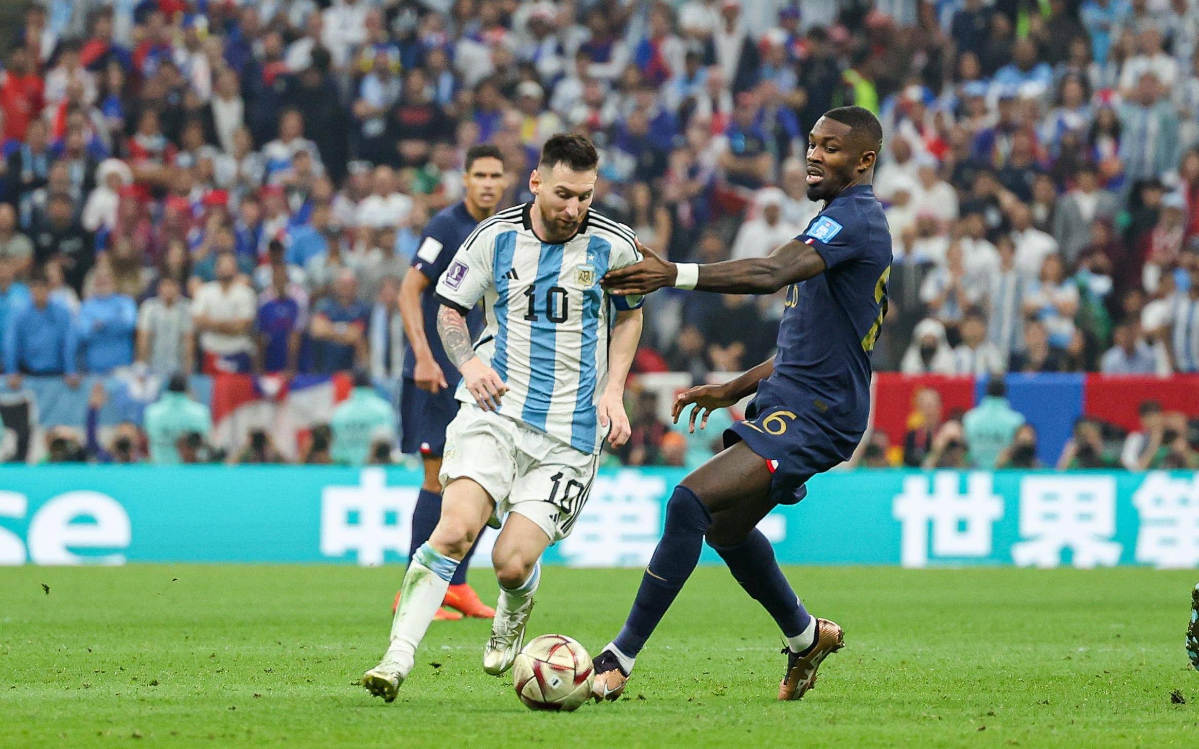 像森林狼 像森林狼