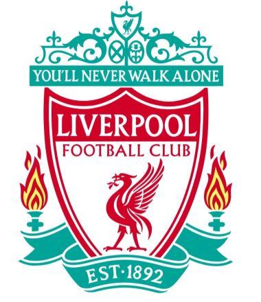 的轮廓与发 的轮廓与发