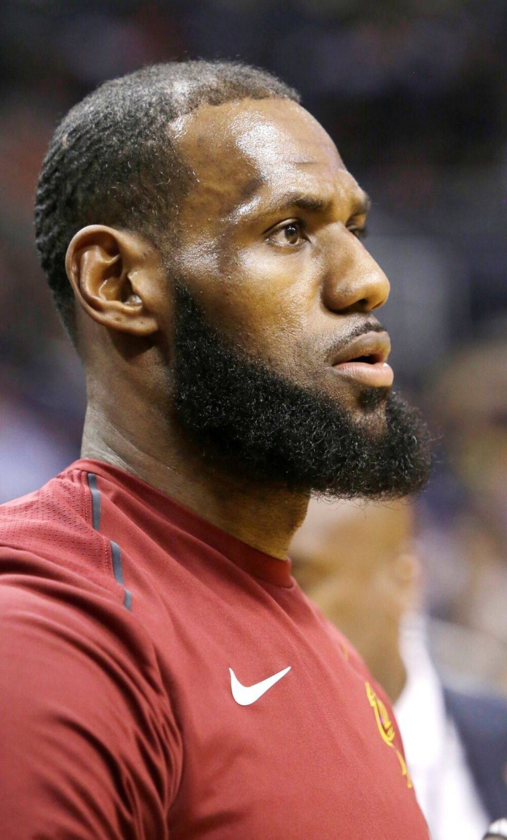 面样本是 面样本是